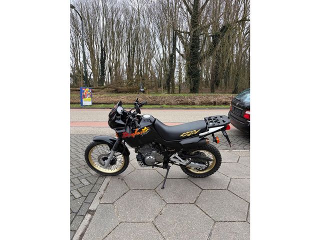 honda - nx-650--dominator