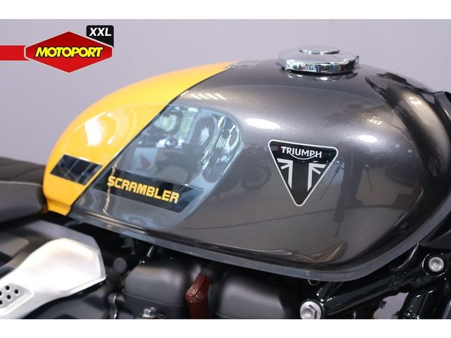 triumph - scrambler-900