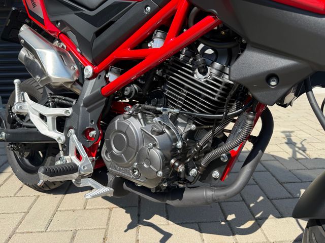 benelli - tornado-naked-t