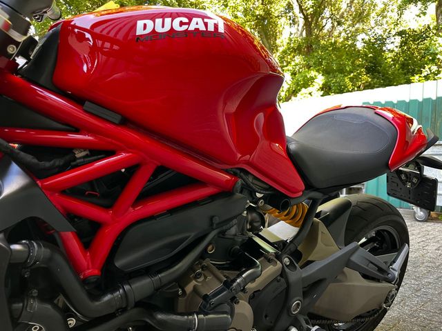 ducati - monster-821