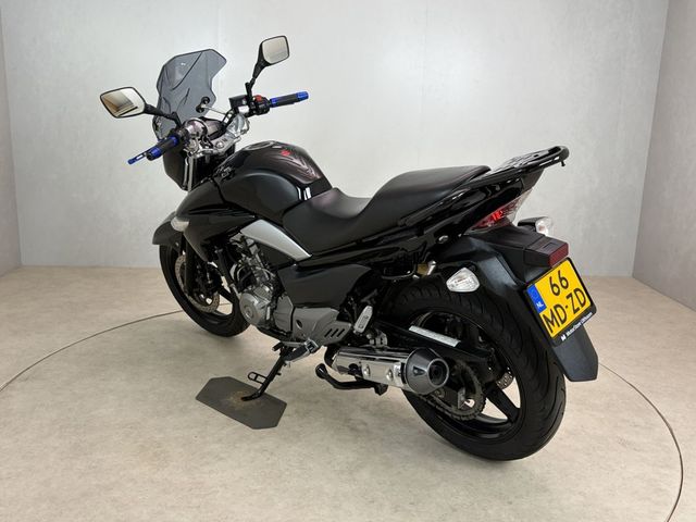 suzuki - inazuma-250