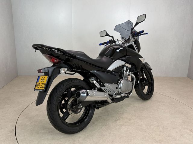 suzuki - inazuma-250