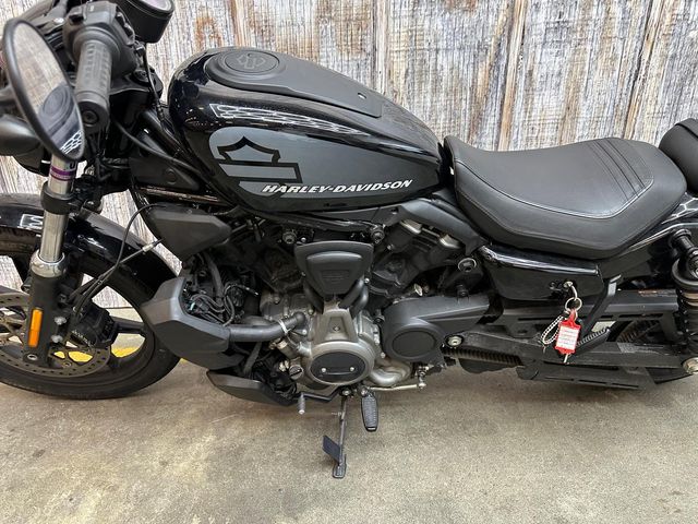 harley-davidson - nightster-rh-975