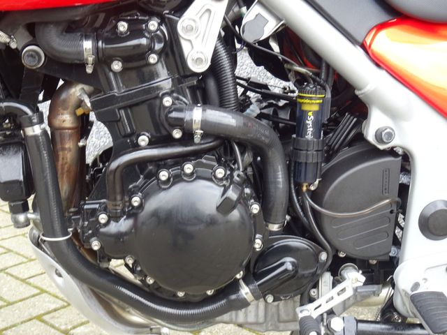 triumph - 955-i-tiger