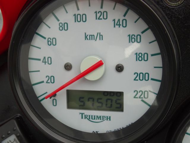 triumph - 955-i-tiger