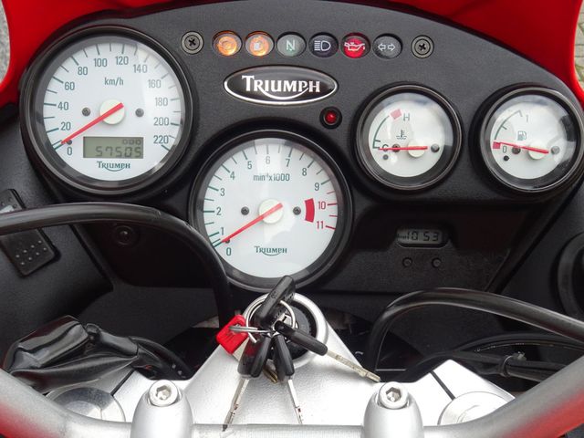 triumph - 955-i-tiger