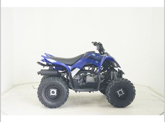 Yamaha YFM 110 2026 nieuw