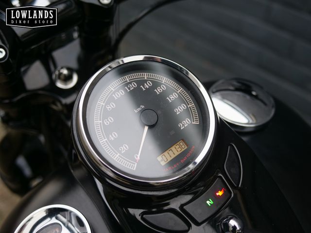 harley-davidson - cross-bones-flstsb