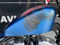 Harley-Davidson XL1200X Forty-Eight Anniv 2018 occasion – foto 3 van 14