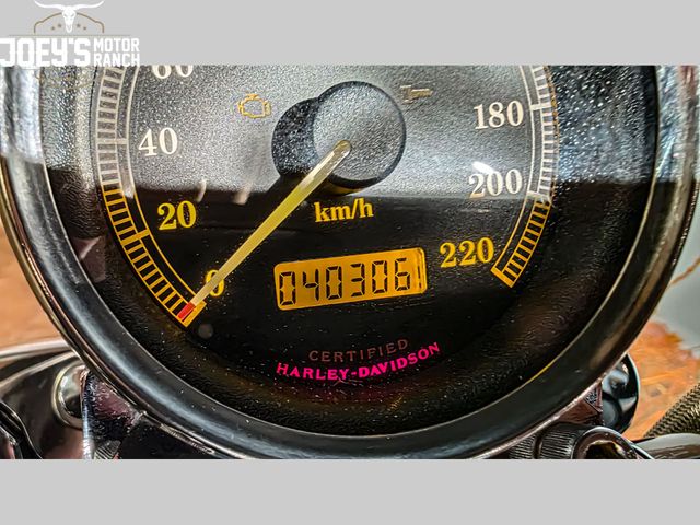 harley-davidson - sportster-1200-custom