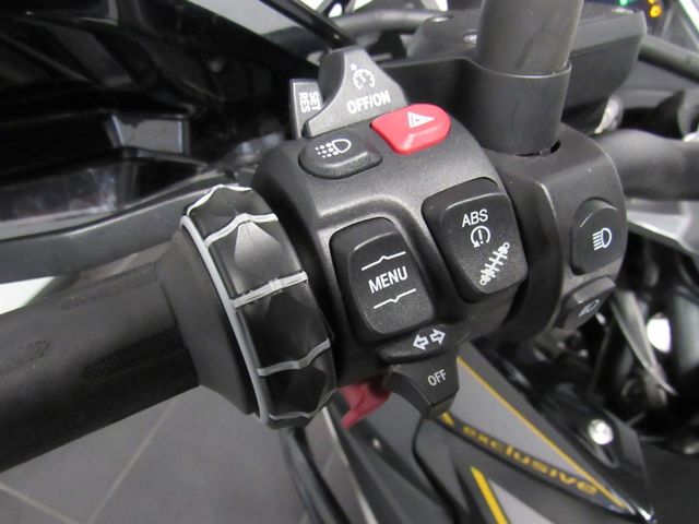 bmw - r-1250-gs