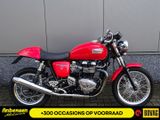TRIUMPH THRUXTON 900
