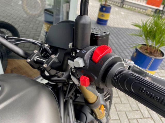 benelli - leoncino-800-trail