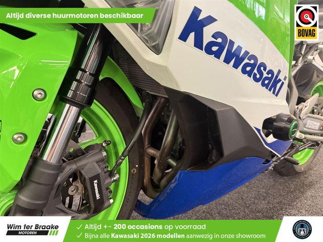 kawasaki - ninja-zx-4rr