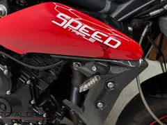 Triumph Speed Triple R 2013 occasion – foto 6 van 21