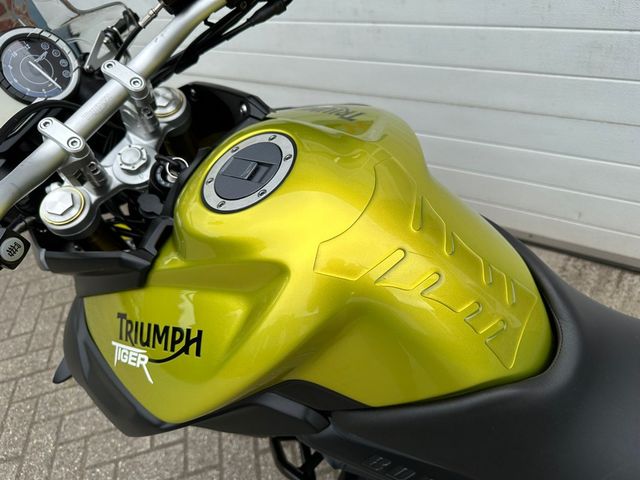 triumph - tiger-800-abs