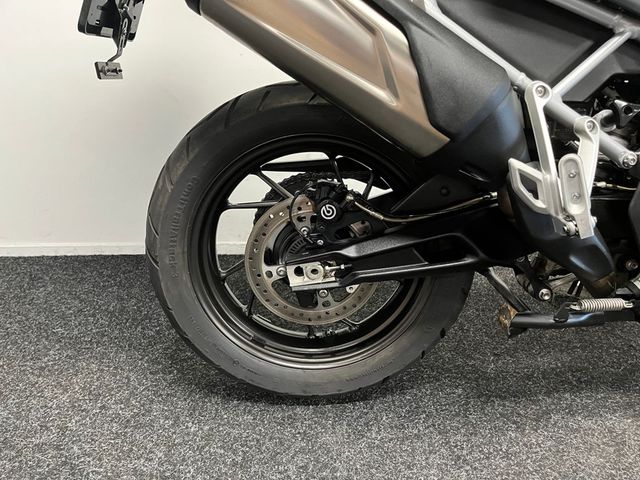 triumph - tiger-900-gt