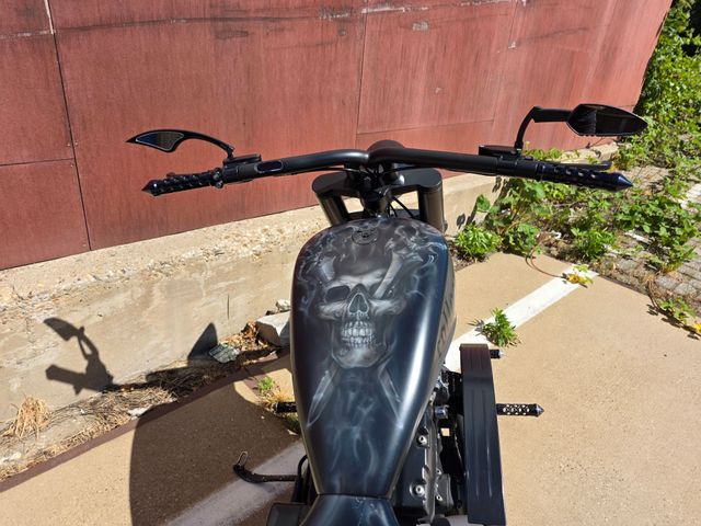 harley-davidson - softail-deluxe-flstni