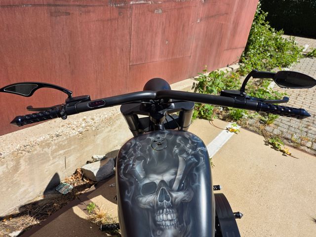 harley-davidson - softail-deluxe-flstni