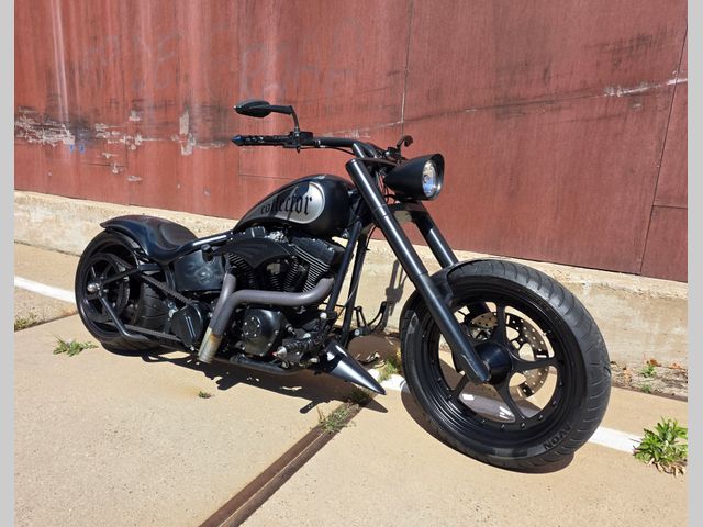 harley-davidson - softail-deluxe-flstni