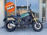 BENELLI LEONCINO 800