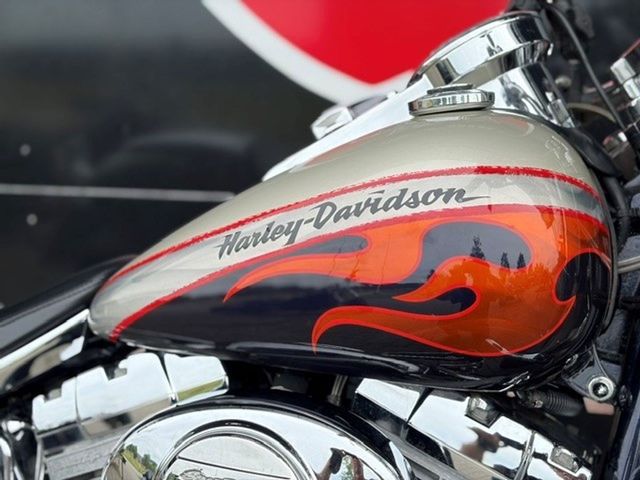 harley-davidson - fat-boy-screamin-eagle-cvo-flstfse