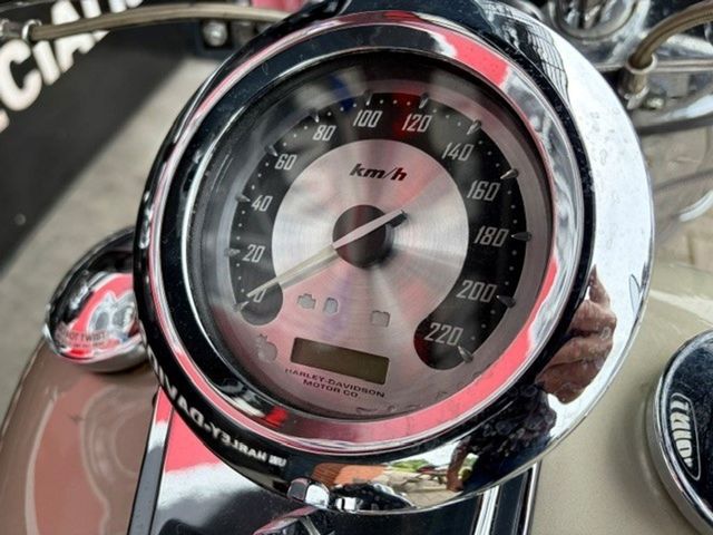 harley-davidson - fat-boy-screamin-eagle-cvo-flstfse