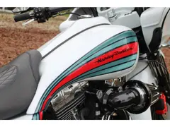 Harley-Davidson Road Glide Fltrxs Roadglide Special Bagger 2015 occasion – foto 11 van 13