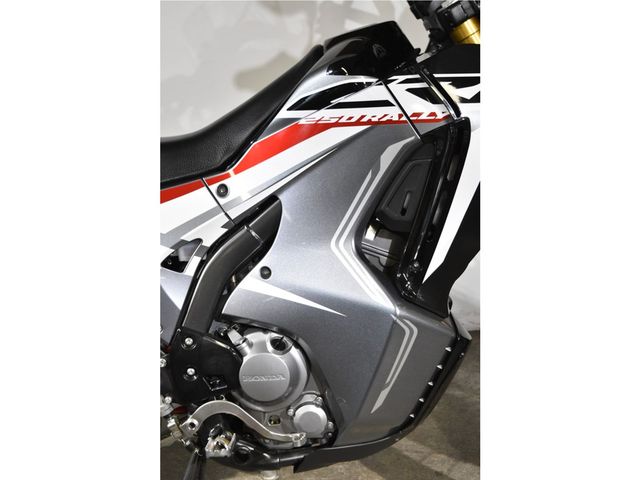 honda - crf-250-rally