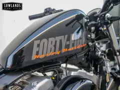 Harley-Davidson XL 1200X XL Forty-Eight 2010 occasion – foto 2 van 13