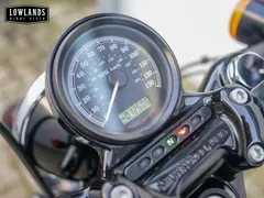 Harley-Davidson XL 1200X XL Forty-Eight 2010 occasion – foto 8 van 13
