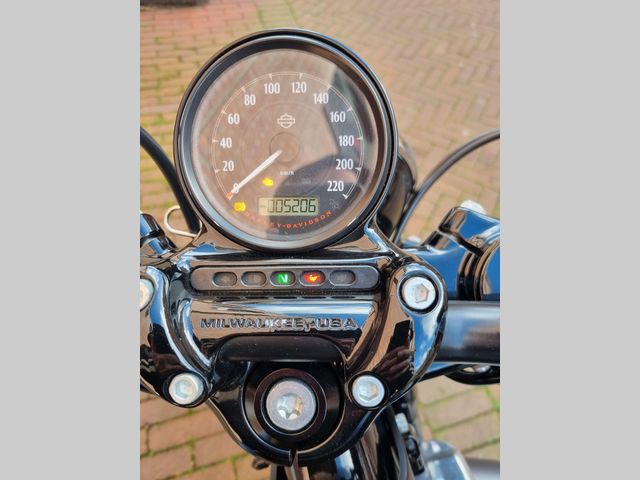 harley-davidson - sportster-forty-eight-xl-1200-x