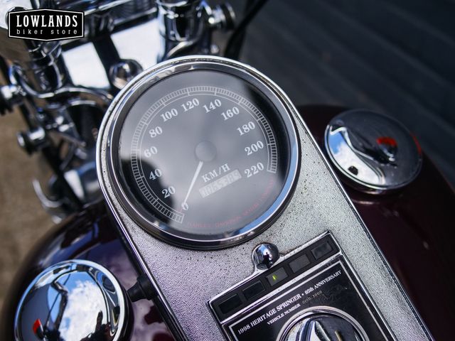 harley-davidson - springer-flsts-softail