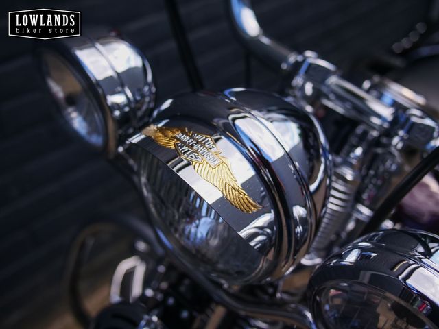 harley-davidson - springer-flsts-softail
