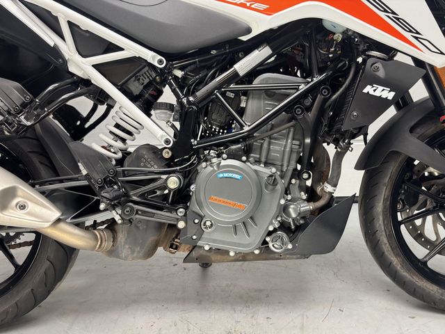 ktm - 390-duke-abs