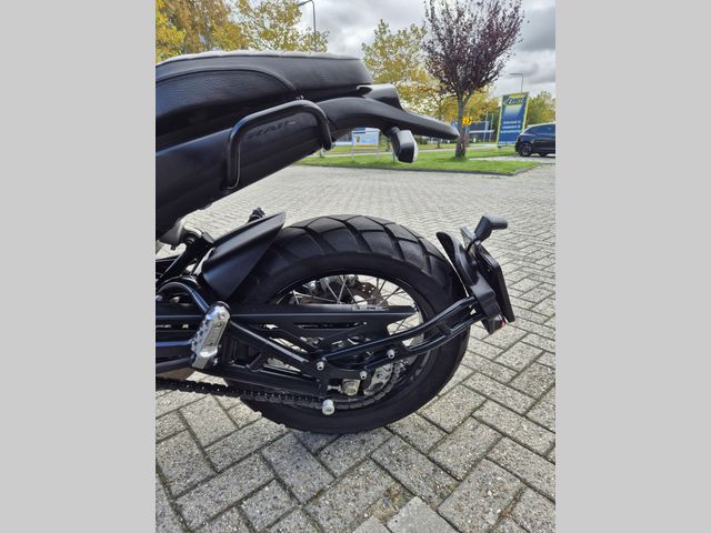 benelli - leoncino-trial