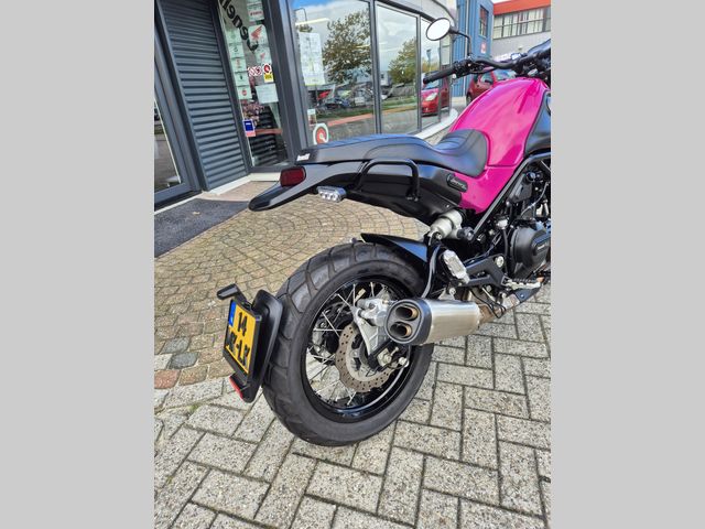 benelli - leoncino-trial