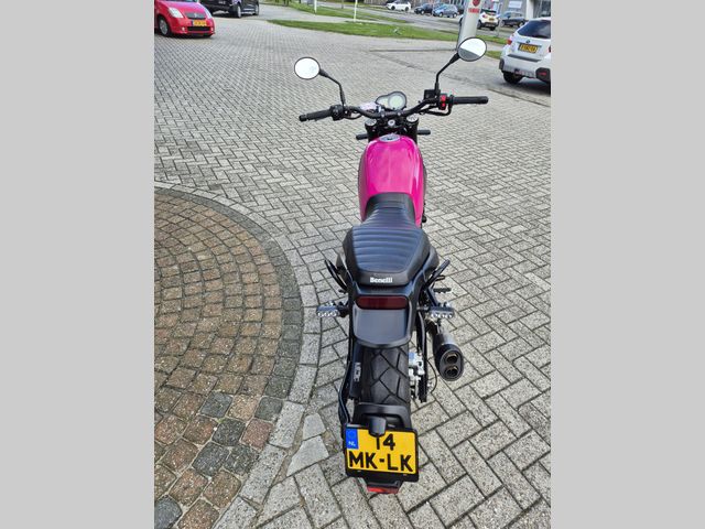 benelli - leoncino-trial