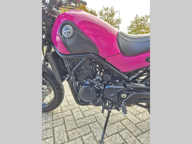 benelli - leoncino-trial