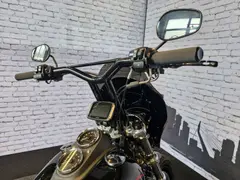 Harley-Davidson LOW Rider 2017 occasion – foto 4 van 12