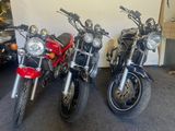 SUZUKI GSF 600 N BANDIT