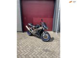 APRILIA TUONO