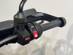 BMW R 1300 GS Aurum Edition 2026 nieuw – foto 14 van 14