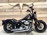HARLEY-DAVIDSON CROSS BONES FLSTSB