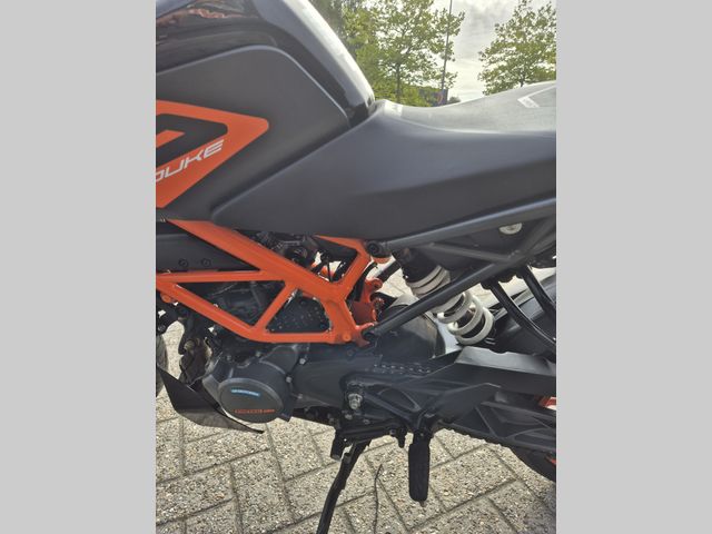 ktm - 125-duke