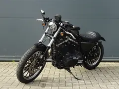 Harley-Davidson 883 Roadster 2016 occasion – foto 5 van 23