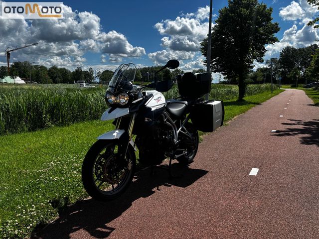 triumph - tiger-800-xc-abs