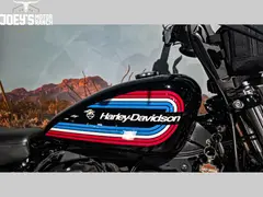 Harley-Davidson Sportster Iron 1200 XL 1200 NS 2020 occasion – foto 5 van 13