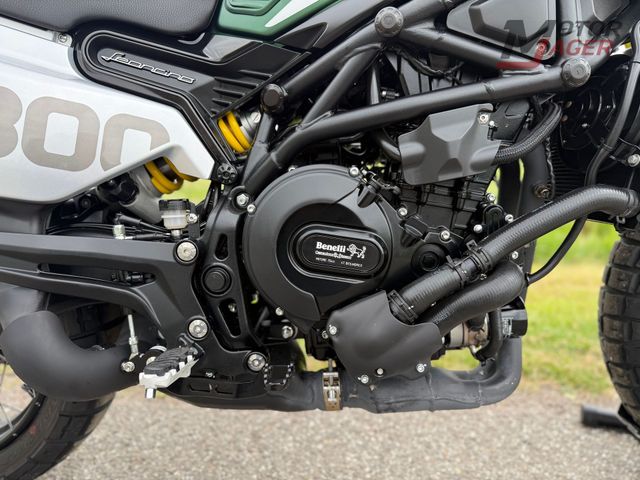 benelli - leoncino-800-trail