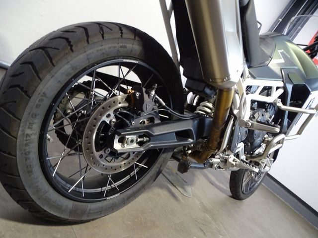 triumph - tiger-900-rally-pro